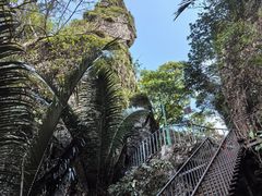 -七仙岭温泉国家森林公园