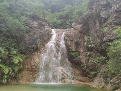 -南海湾森林生态园
