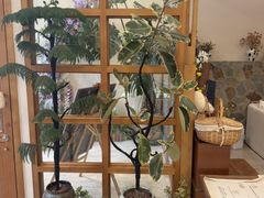 -山与蓝·轻糖鲜果蛋糕(勒泰店)