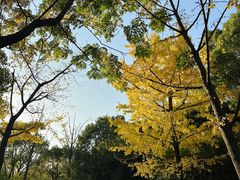 -上海吴淞炮台湾国家湿地公园