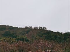 -小南山公园