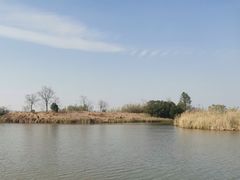 -宁波杭州湾国家湿地公园