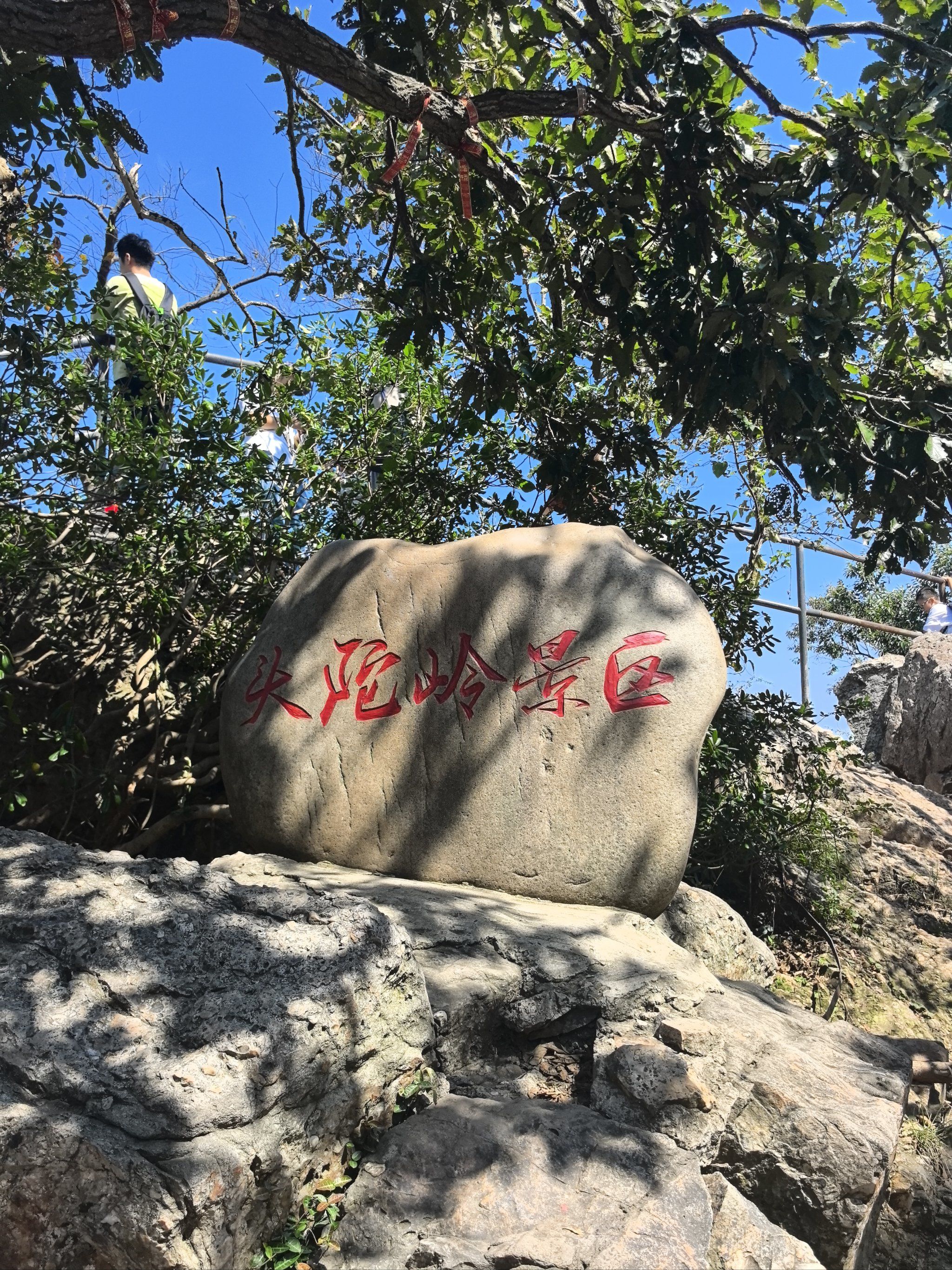 山顶绿意浓浓哒小小紫金山拿捏!