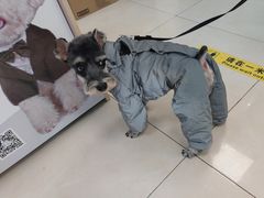 -北京观赏动物医院·24小时大型综合·猫专科·异宠专科