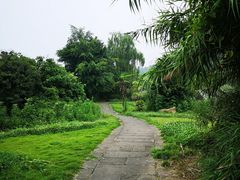 -张坝桂圆林公园
