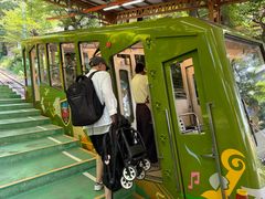 -神户市立六甲山牧场