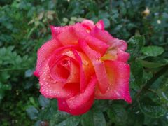 -苏州河梦清园环保主题公园