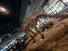 -自贡恐龙博物馆