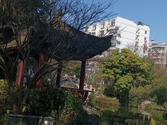 -西湖公园(鼓楼区)