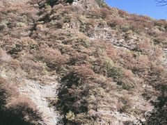-濂泉响谷