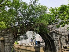 -练塘古镇