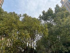 -君之狮子山·轻糖烘焙(松江印象城店)