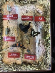-天空之城家庭互动游乐场