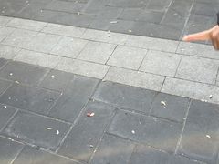 -护国寺小吃(新街口店)
