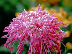 -共青国家森林公园-南大门停车场