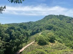 -西湖风景区十里琅珰-五云山