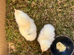 -新荟城(望京店)