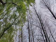 -滨湖塘西河公园