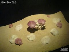 -亚龙湾中心广场·贝壳馆