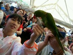 -南戴河国际娱乐中心