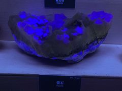 -湖南省地质博物馆