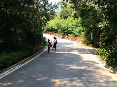 -广州市流溪河国家森林公园