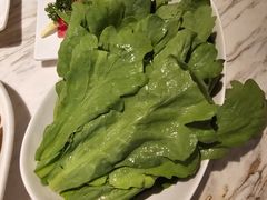 -汤城·料青山
