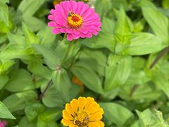 -长春公园(普阳街道)