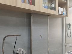 -宠福鑫康馨动物医院·骨科·眼科