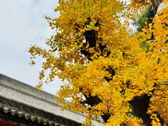 -西安市广仁寺