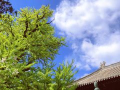 -红螺寺