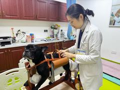 -美联众合动物医院·24h转诊中心