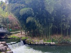 -杭州植物园