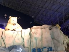 -海合安青岛极地海洋公园