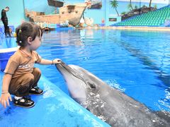 -华夏文旅海洋公园