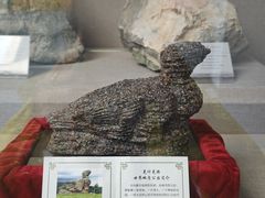 -延庆地质公园博物馆