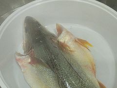 -梅子大排档