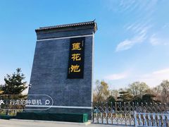 -莲花池公园