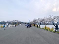 -鸡鸣赐茶(鸡鸣寺路店)