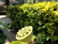 -华中科技大学同济医学院附属同济医院(汉口院区)