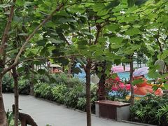 -南宫五洲植物乐园