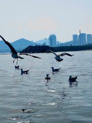 -星海水上乐园(星海广场圣亚店)