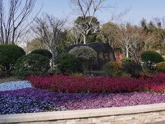-新江湾城公园