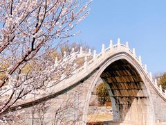 -颐和园