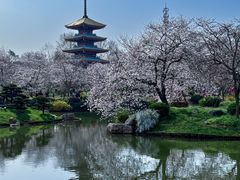 -东湖落雁景区