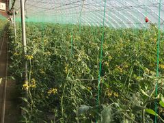 -云龙洗浴商务酒店