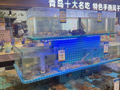 -崂山印象·青岛·海鲜渔家菜