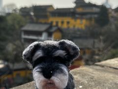 -南京城墙景区