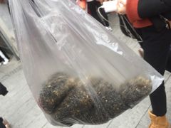-叶氏麻糍(鼓浪屿店)