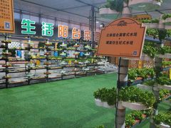 -北戴河集发农业梦想王国